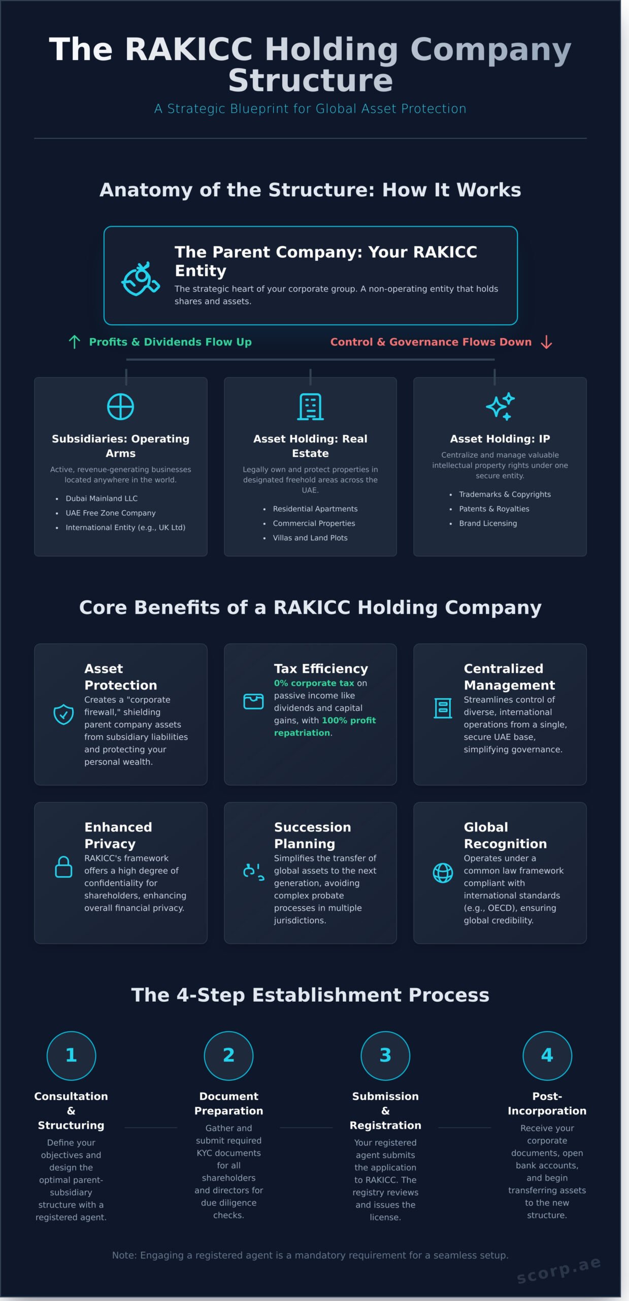 RAKICC Holding Company Structure: A Complete Guide for UAE Investors - Infographic